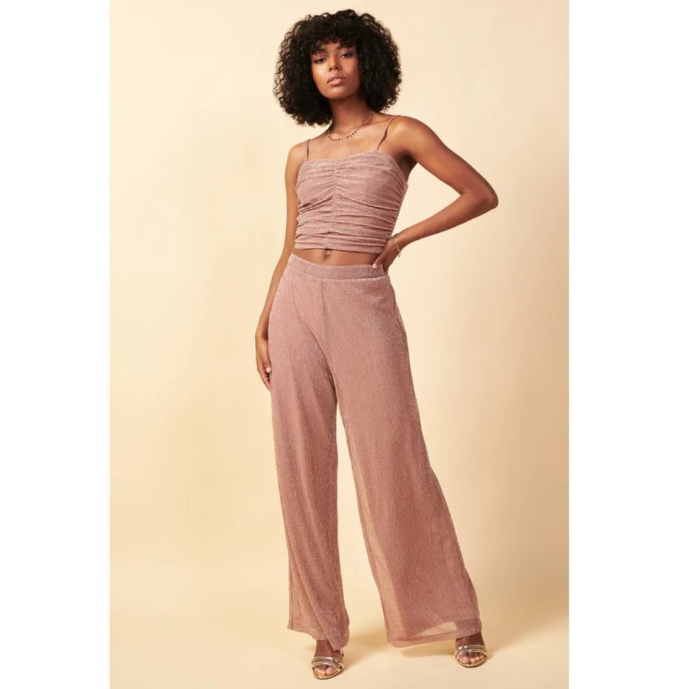 NWOT Skies‎ Are Blue by Anthropologie Metallic Mesh High Rise Pants